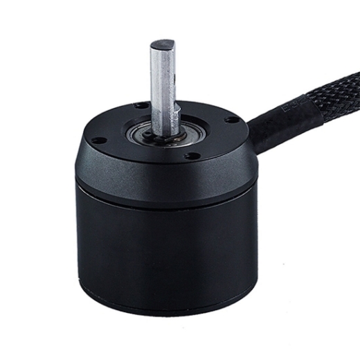 1000W 200KV 12S Outrunner Sensored Brushless DC Motor