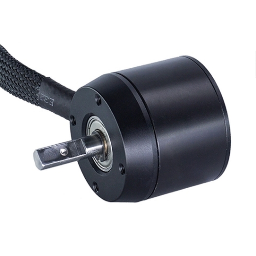 1000W 200KV 12S Outrunner Sensored Brushless DC Motor