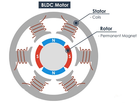 BLDC motors structure