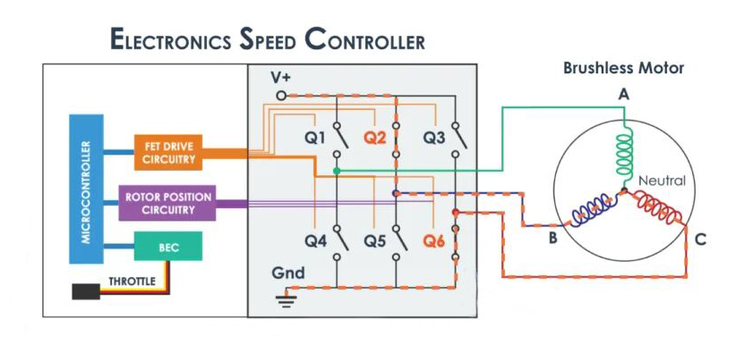 How does esc work in bldc motor