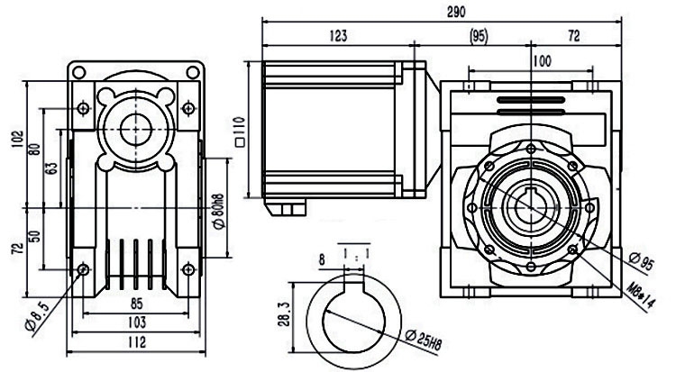 DC worm gear motor dimension