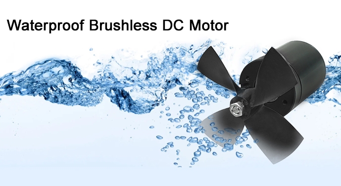 Waterproof brushless DC motor